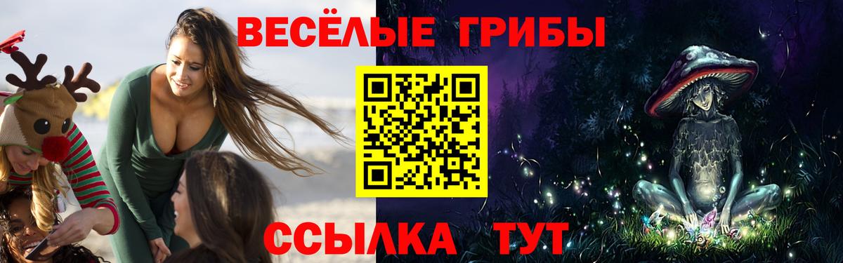 Галлюциногенные грибы Magic Shrooms Дзержинский