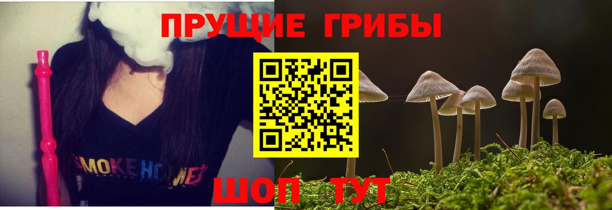 Галлюциногенные грибы MAGIC MUSHROOMS  Вход с VPN  Дзержинский 